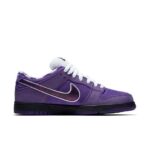 Nike Concepts x Dunk Low SB  Purple Lobster