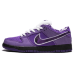 Nike Concepts x Dunk Low SB  Purple Lobster