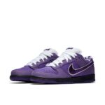 Nike Concepts x Dunk Low SB  Purple Lobster