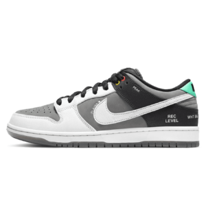 Dunk Low SB 'Camcorder'